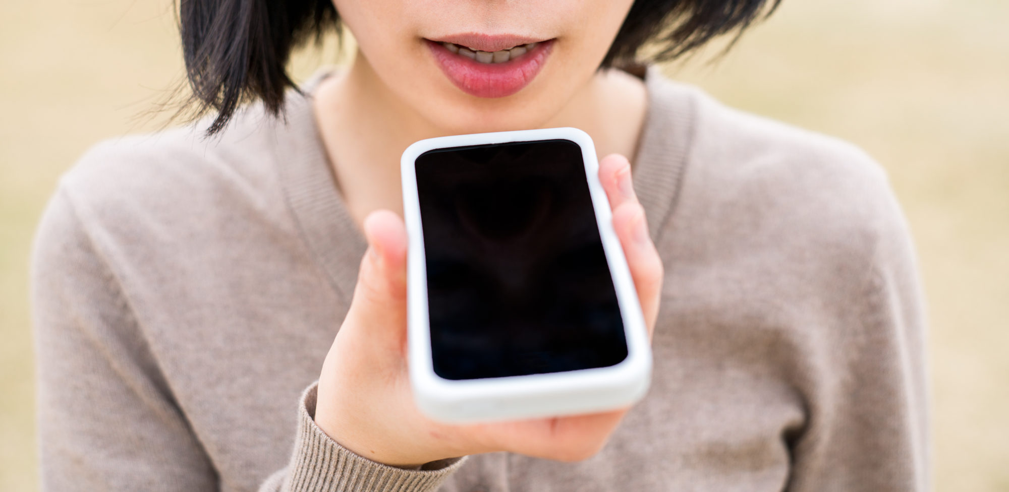SEO for Voice Search: Customer understanding as key factor