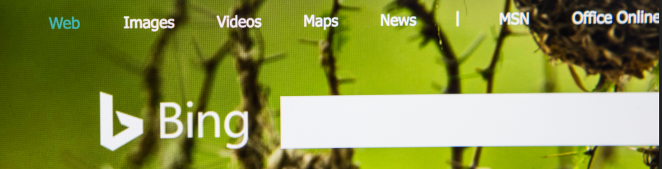 Bing Ads: Lohnen sich Anzeigen bei Bing?