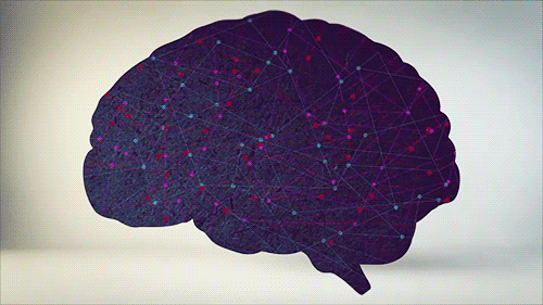 brain gif
