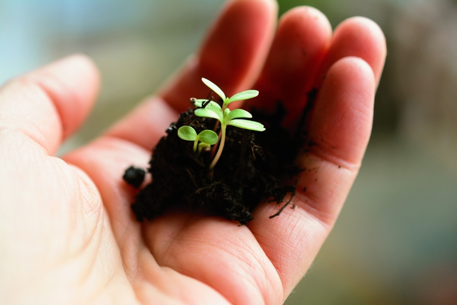 What you CAN do in 2021 to monetize your business